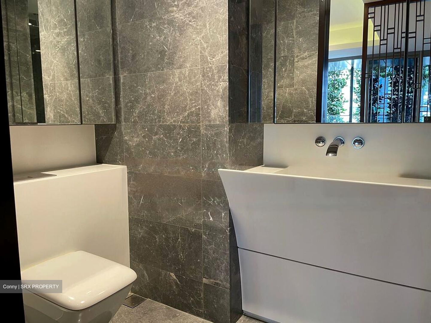 Cairnhill Nine (D9), Apartment #470788471